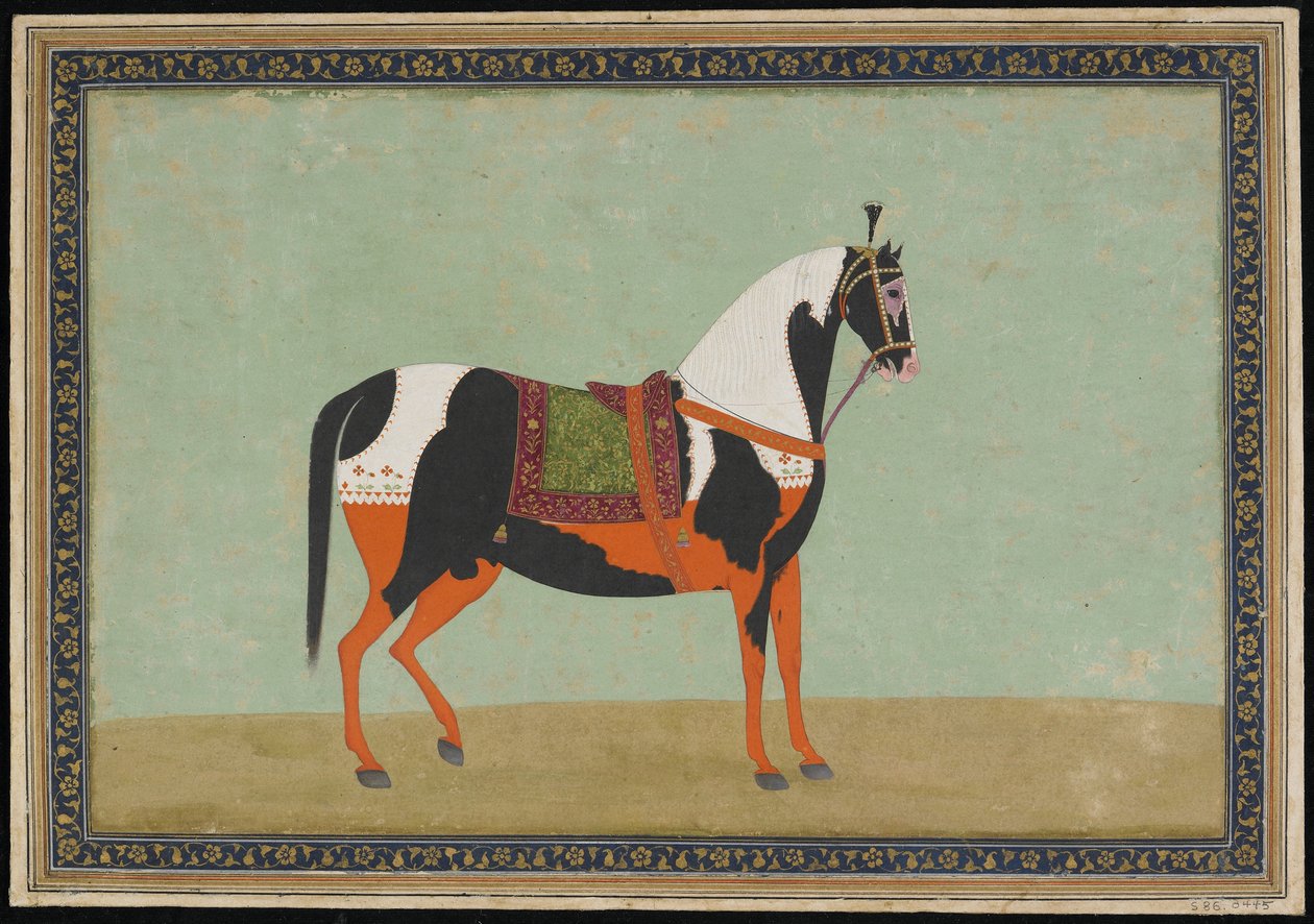 A Horse, Album folio, 1800-tallet (ugjennomsiktig akvarell og gull på papir) av Indian School