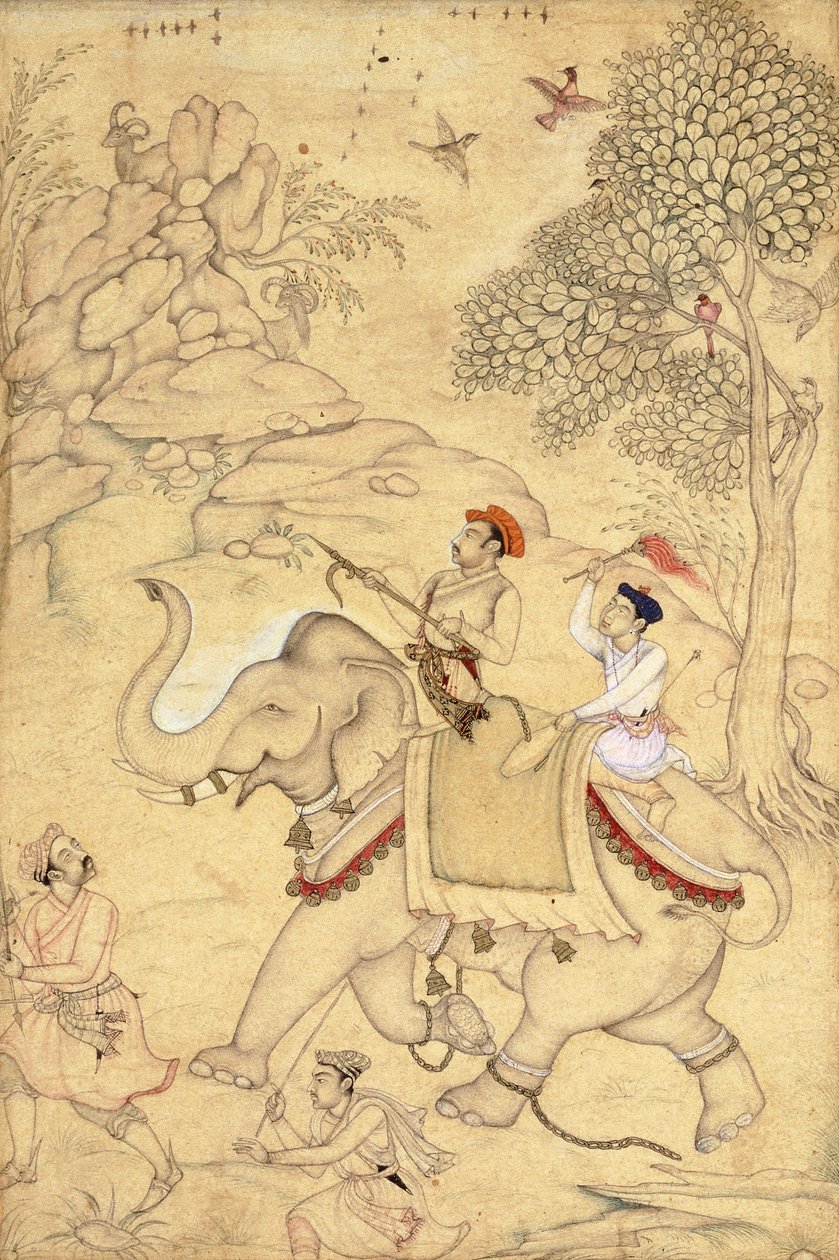 En prins på jakt, montert på en elefant, ca. 1600-1650 av Indian School