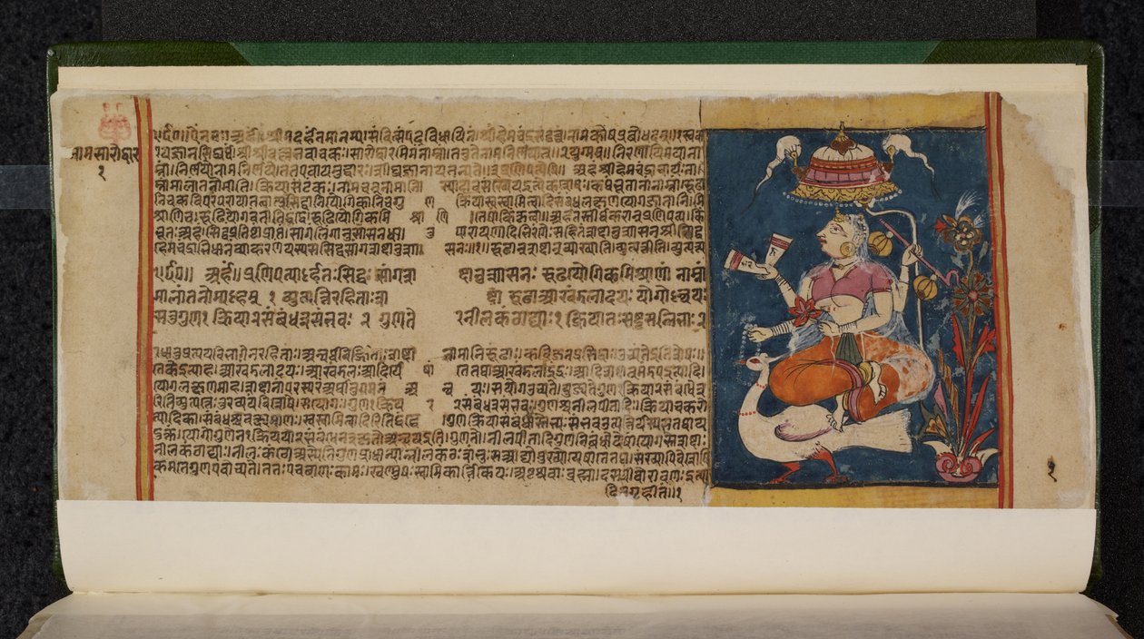Abhidan Chintamani manuskriptfolio av Indian School