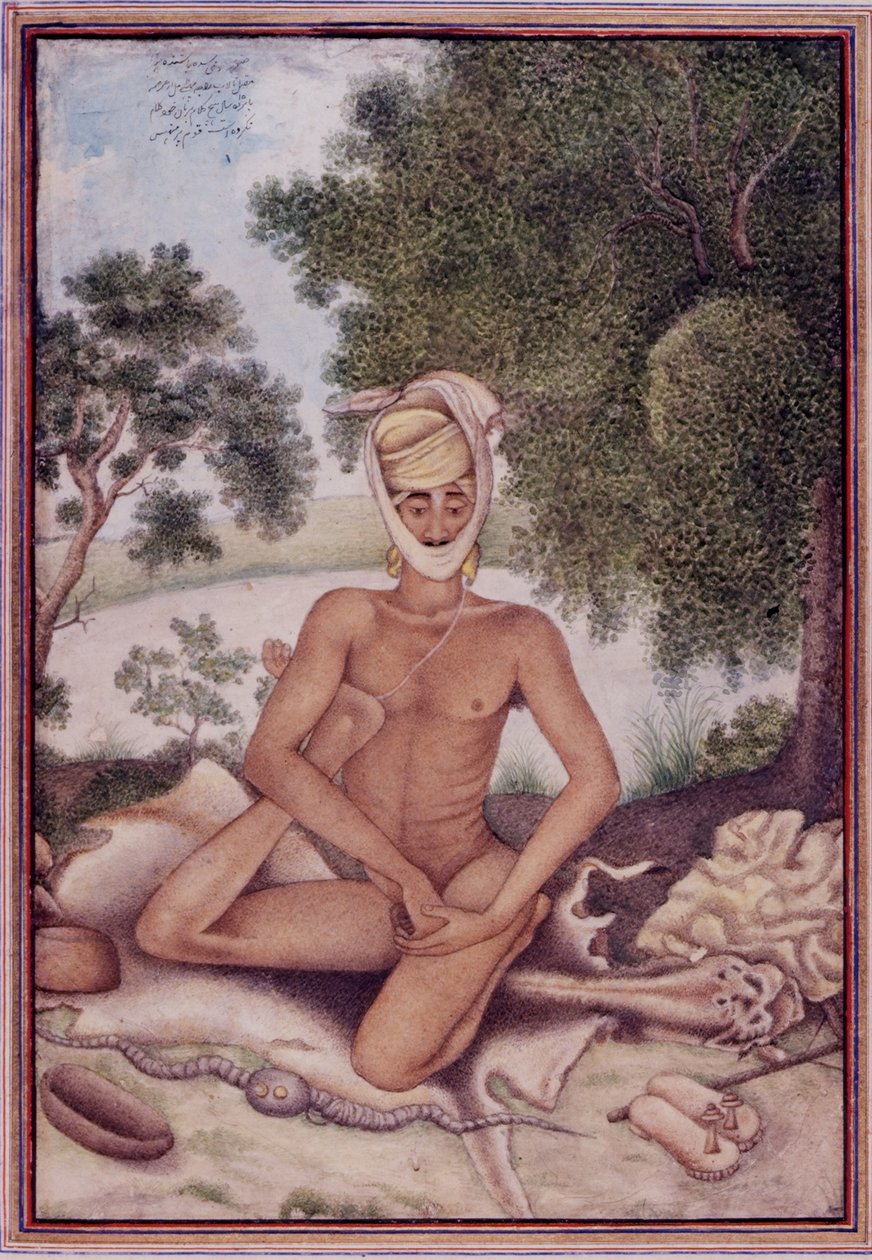 Legg til 27255 fol.370v A Naked Ascetic, fra 