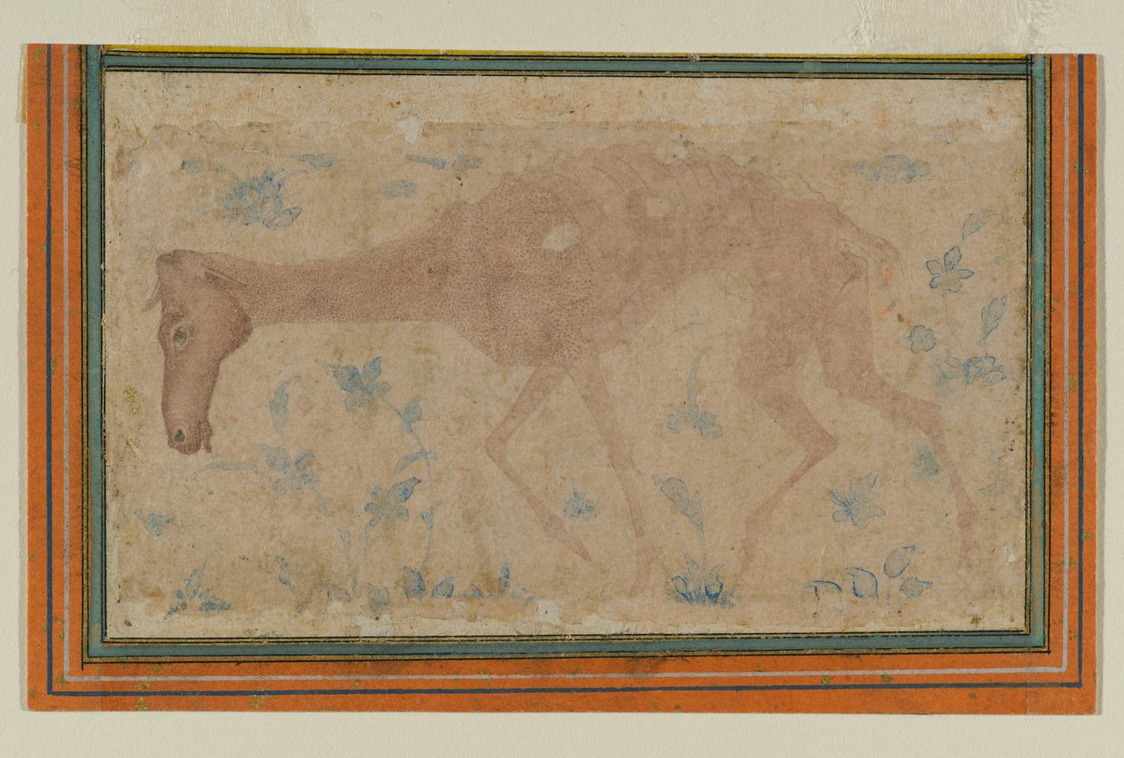An Emaciated Horse, fra Mughal eller Deccan, midten av 1600-tallet (blekk- og fargevask på papir) av Indian School