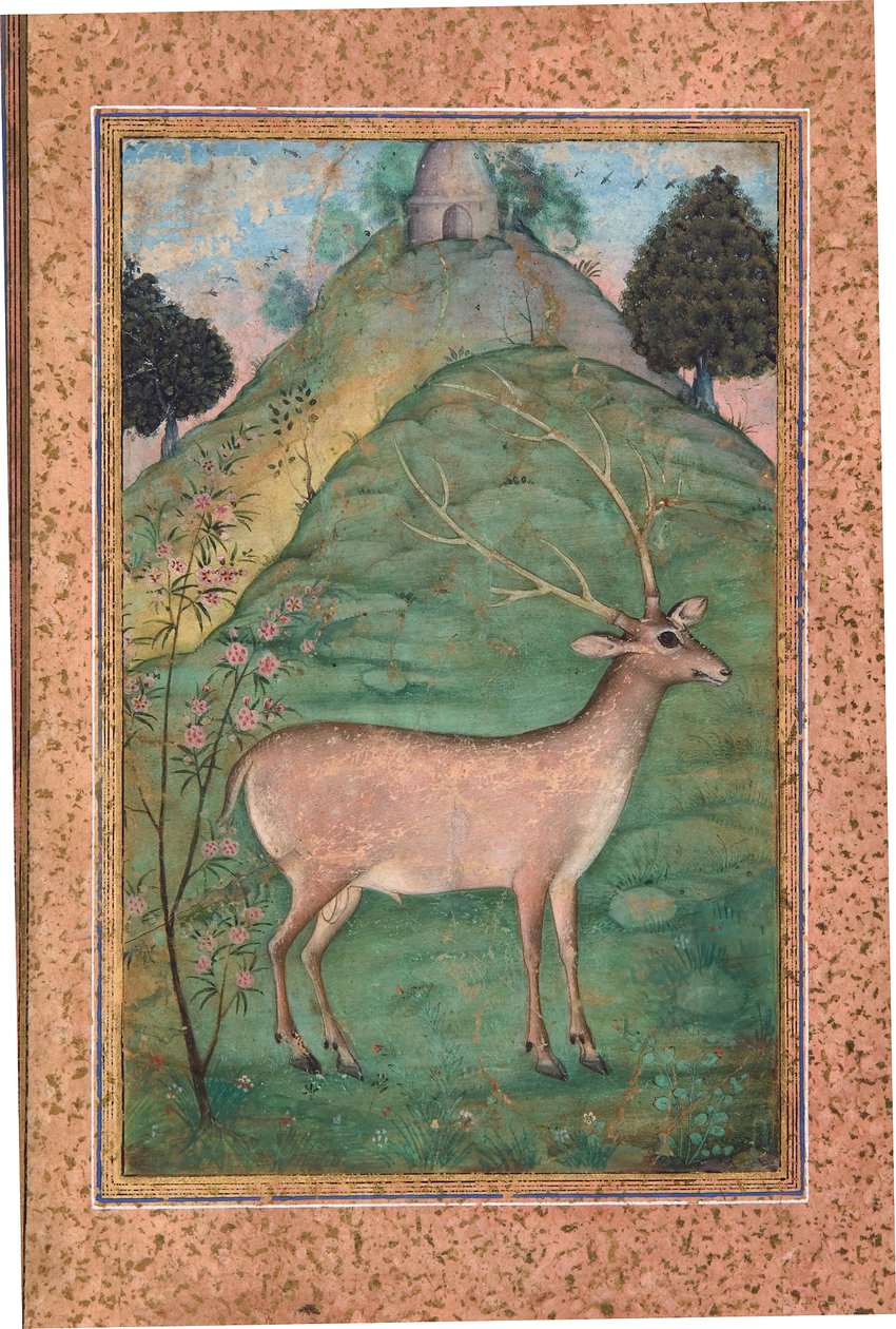 Buck in a Landscape, ca. 1595 (ugjennomsiktig wc og gull på papir) av Indian School