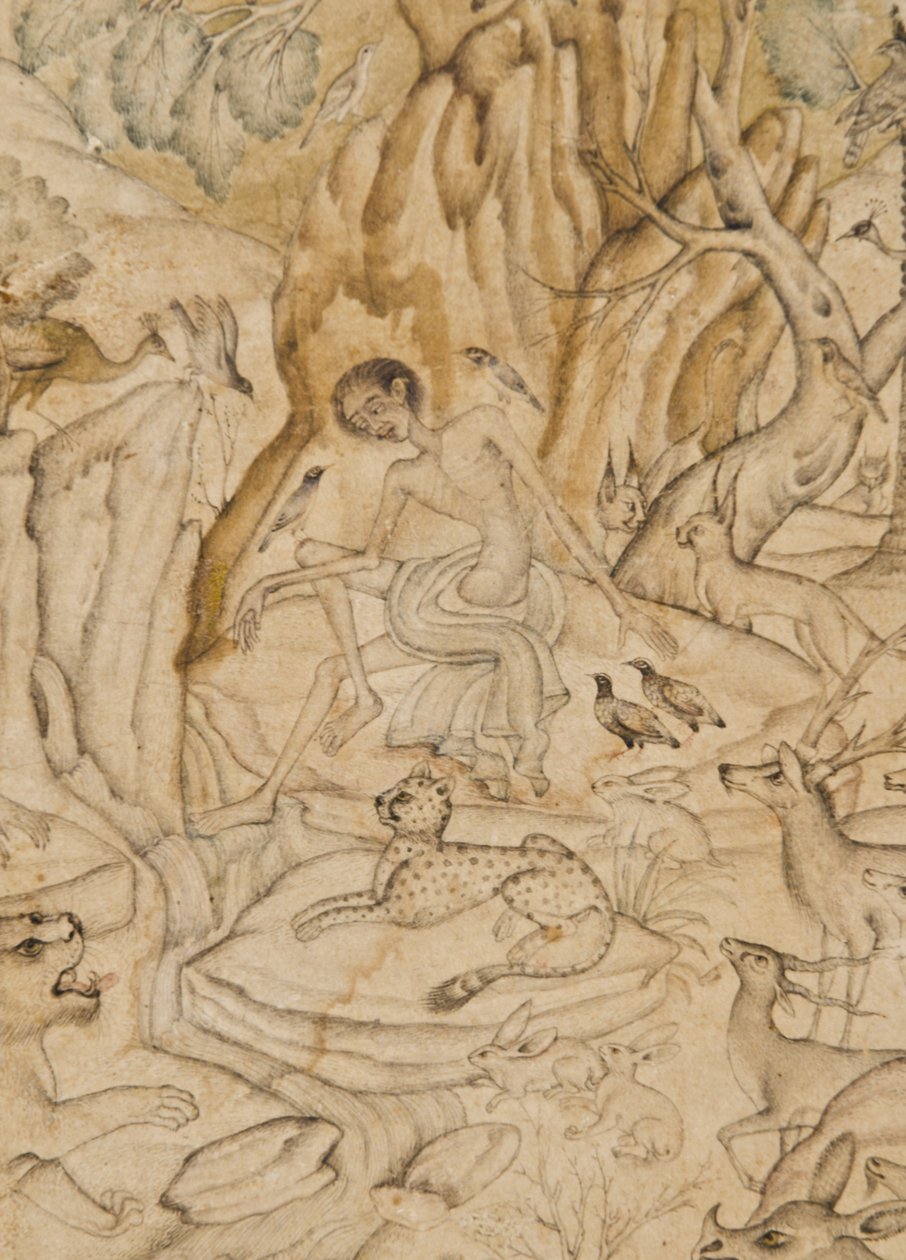 Detalj fra Majnun i villmarken, ca. 1595 (ugjennomsiktig wc og gull på papir) av Indian School