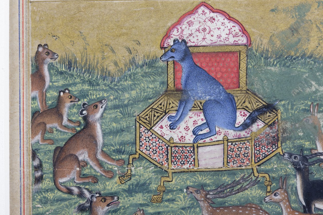 Detalj fra Sjakalen som utropte seg til konge, ca. 1560-65 (ugjennomsiktig wc og gull på papir) av Indian School
