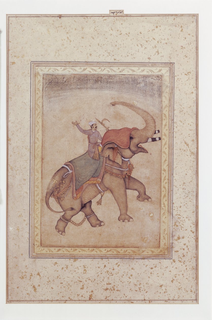 Elefant og mahout (elefantfører), ca. 1595–1600 (Ugjennomsiktig akvarell, blekk og gull på papir) av Indian School