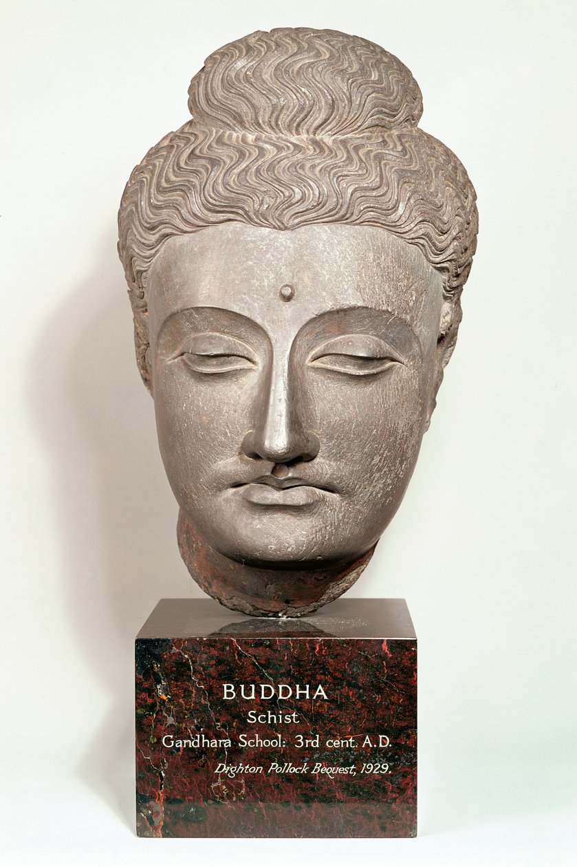 Hodet fra en statue av Buddha, fra Gandhara, Nordvest-India (grå skifer) av Indian School