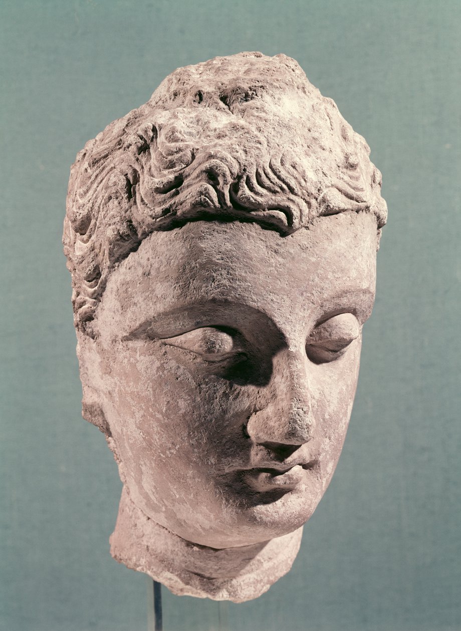 Buddhas hode, Gandhara, 2.-4. århundre (stukk) av Indian School