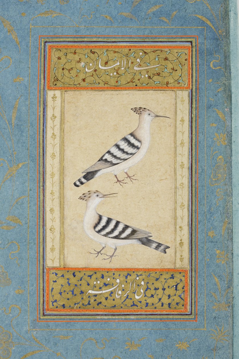 Hoopoes, ca. 1590 (ugjennomsiktig wc og gull på papir) av Indian School