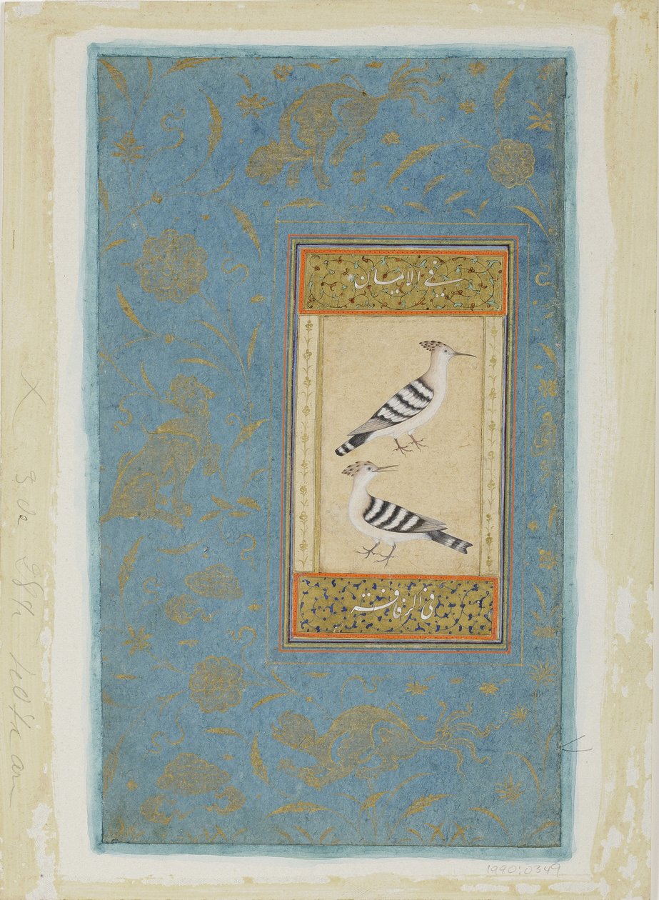 Hoopoes, ca. 1590 (ugjennomsiktig wc og gull på papir) av Indian School