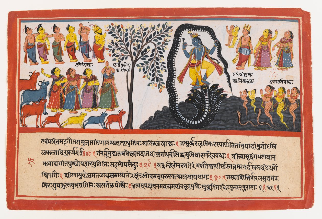 Krishna Conquers the Serpent Kaliya, side fra en Dispersed Bhagavata Purana Series, ca. 1775 (ugjennomsiktig wc og gull på papir) av Indian School