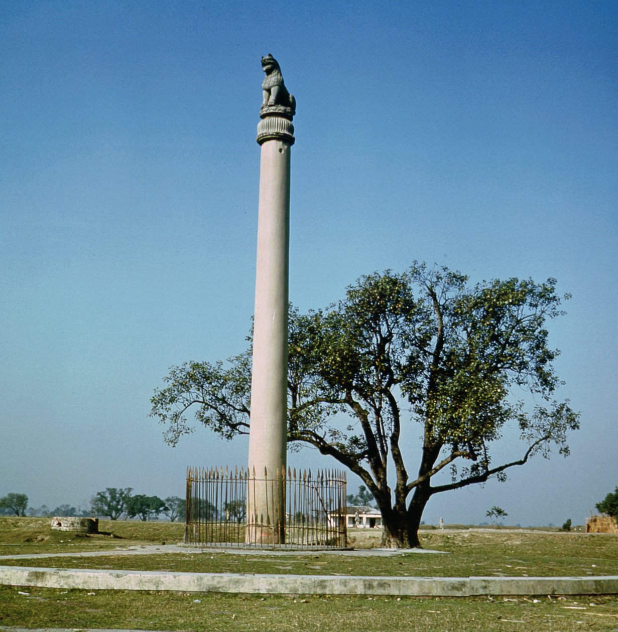 Løvesøyle av keiser Ashoka (ca. 264–223 f.Kr.) av Indian School