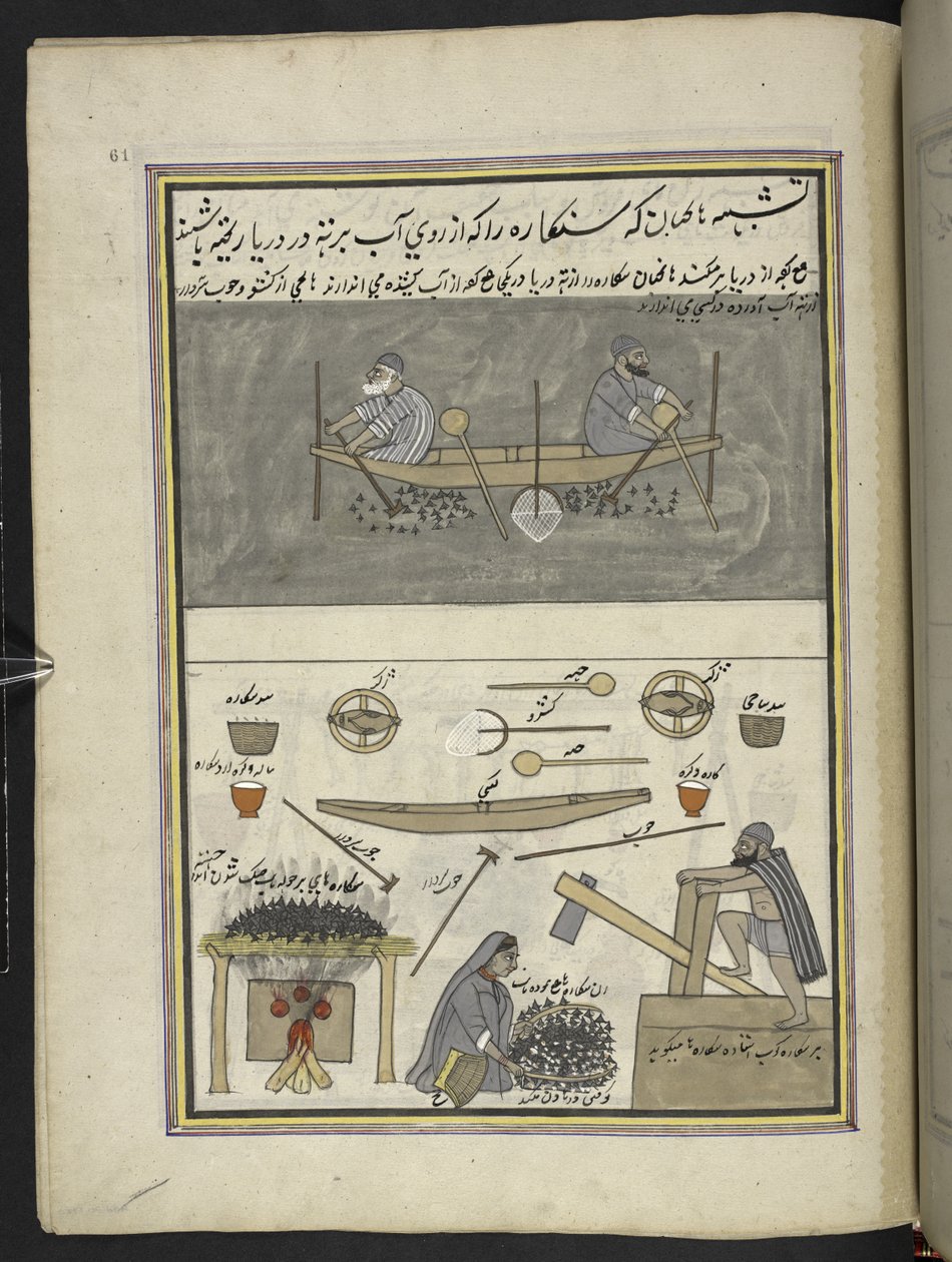 Menn som samler vannkastanjer; mann og kvinne steker og banker vannkastanjer,  86 tegninger bundet inn i et bind som viser handel og yrker i Kashmir, håndverkere vises i arbeid med redskaper og utstyr,  Av en Kashmir-kunstner, prob av Indian School