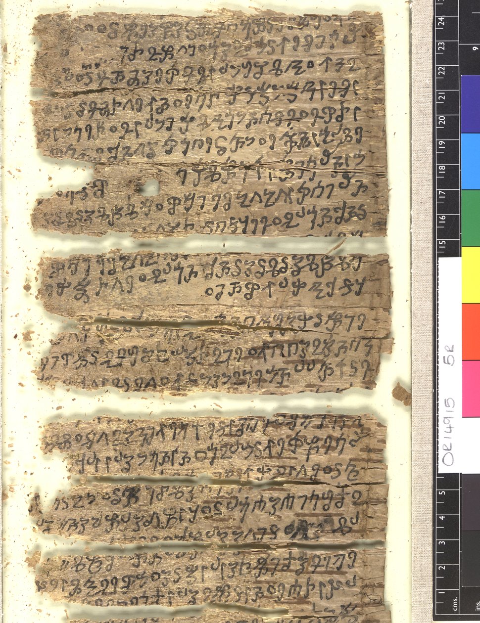 OMS OR 14915 f.5r Fragmenter av bjørkebarkmanuskript i Kharoṣṭi av Indian School