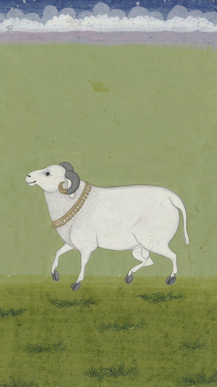 Ram med gullkrage, 1700-1799 av Indian School