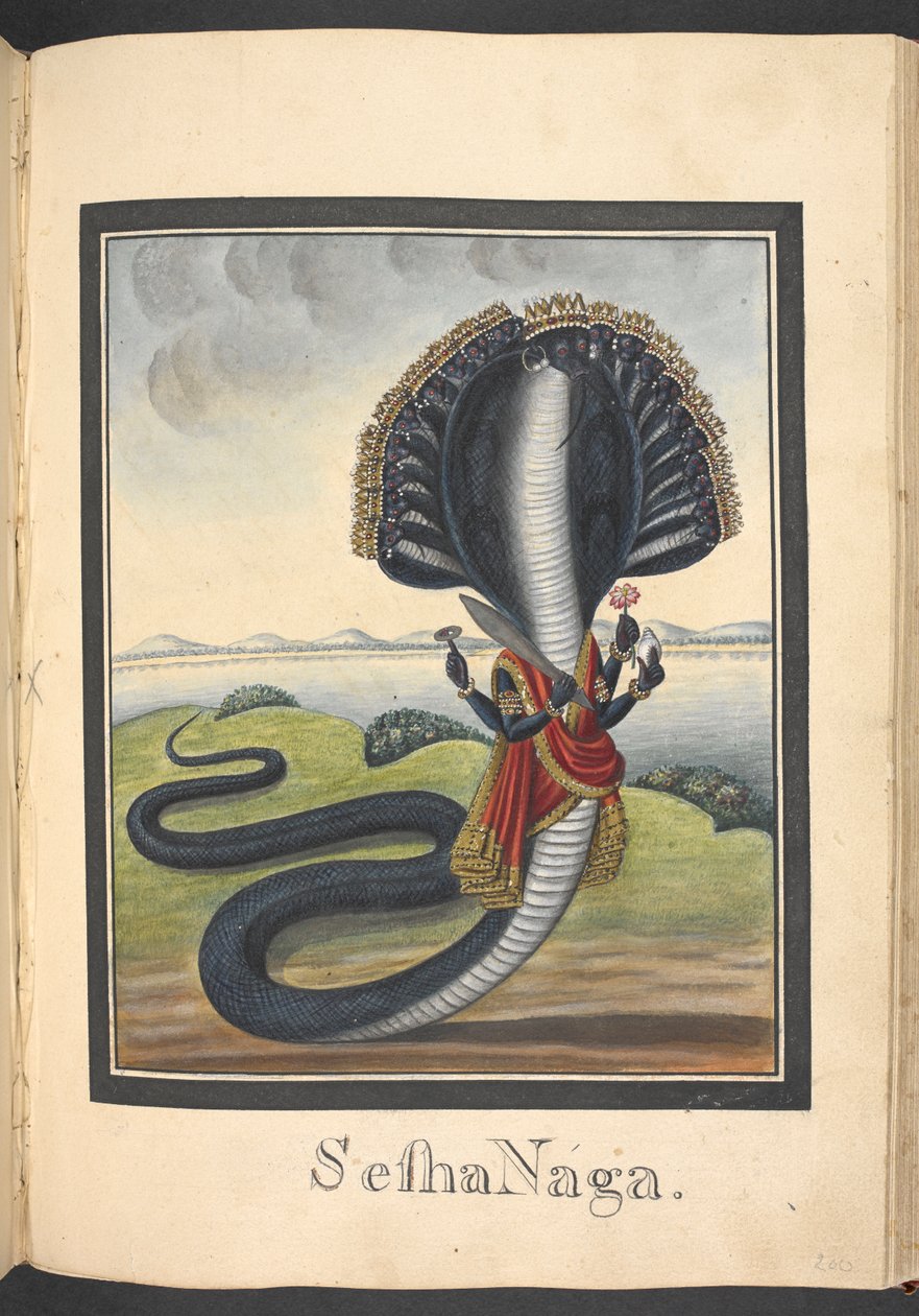 Sesha, slangen som Vishnu ligger på av Indian School