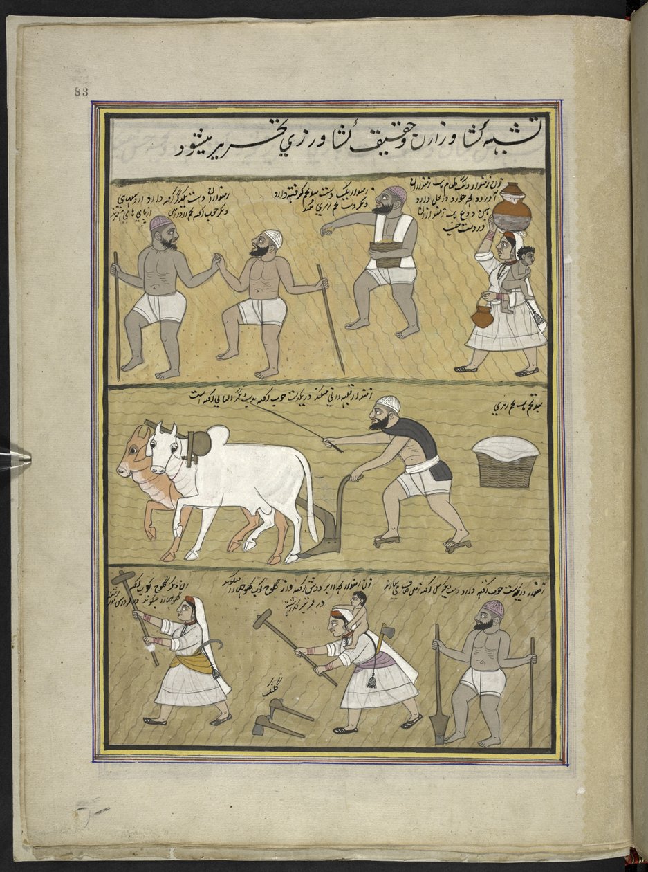 Såing ris; pløying; knusende klumper, 86 tegninger bundet inn i et bind som skildrer handel og yrker i Kashmir, håndverkere vises i arbeid med redskaper og utstyr, Av en Kashmir-kunstner, sannsynligvis i Srinagar, ca. 1850-60 (gouache på papir). av Indian School