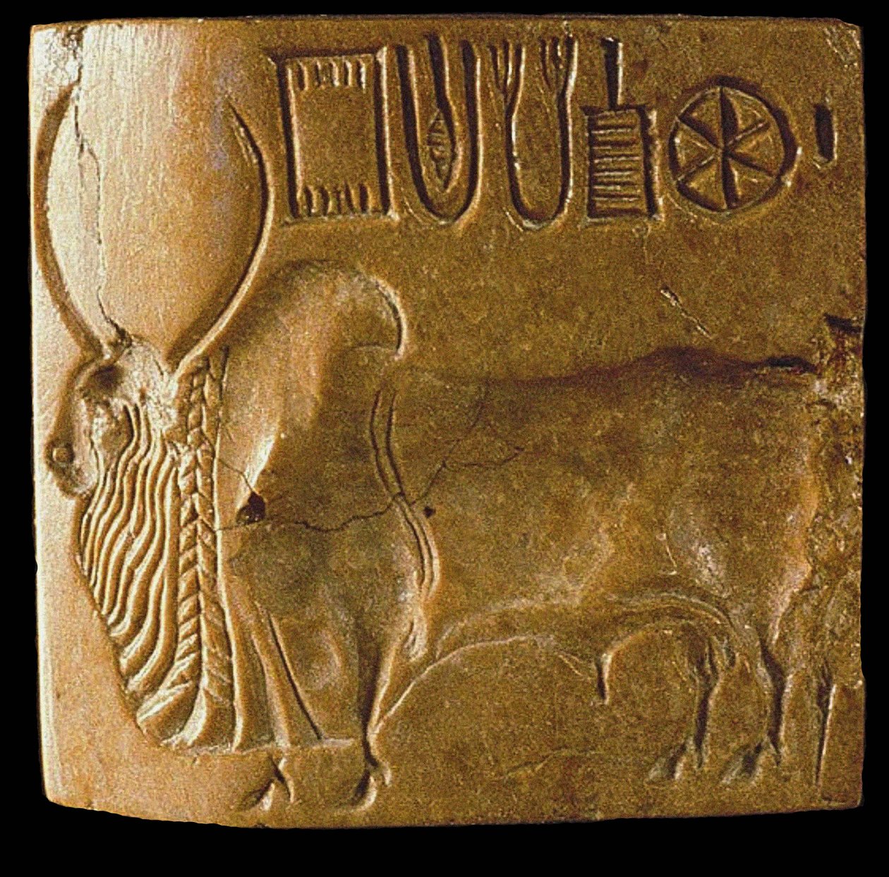 Zebu oksesel med Indus-skrift funnet i Mohenjo Daro, Indus-dalen, 3. årtusen f.Kr. av Indus Valley Civilisation.