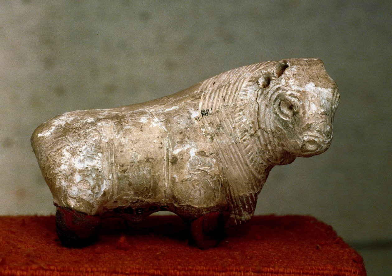 Sivilisasjonen av Indusdalen (5000 f.Kr.): okse. Terrakottafigur fra Mohenjo-daro (Mohenjo daro) (Pakistan), 2400 f.Kr. Karachi, Nasjonalmuseet, Pakistan av Indus Valley Civilization