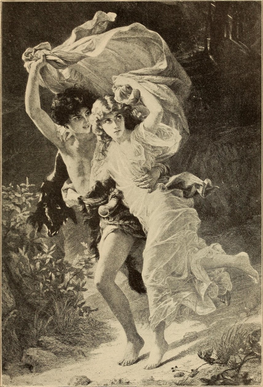 Stormen av Internet Archive Book Images