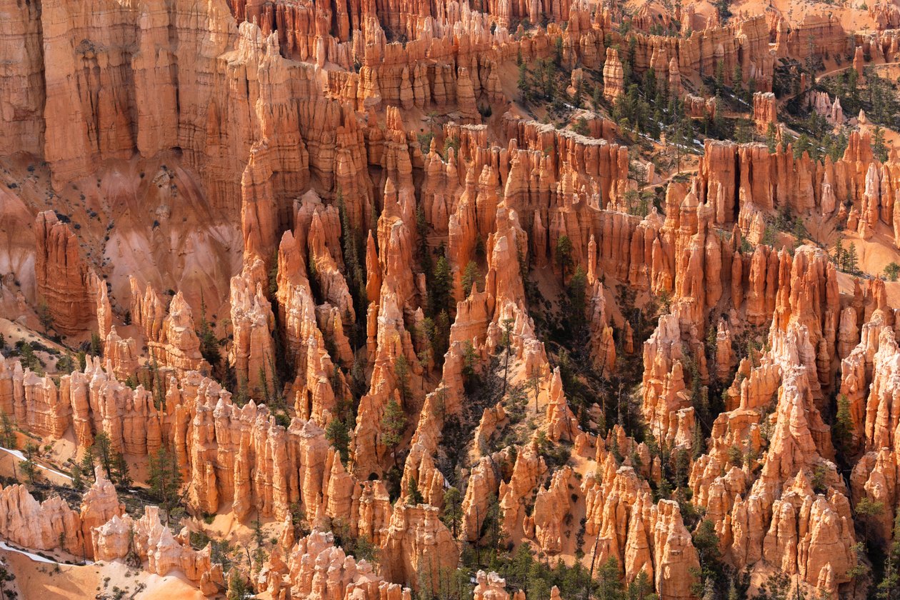 Hoodoos – spir skapt av erosjon – i Bryce Canyon nasjonalpark i Utah, 2019 (bilde) av Ira Block