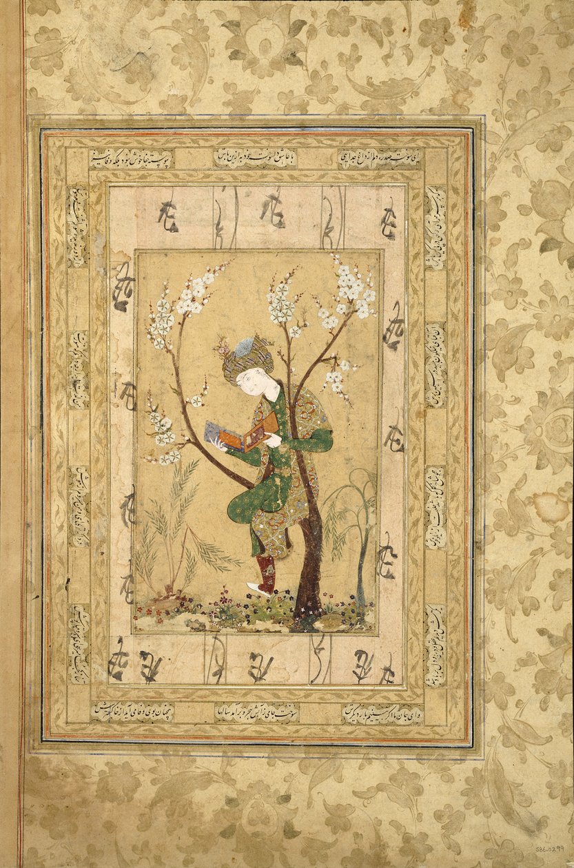 Ungdom sitter i gaffelen til et blomstrende tre, 1560-tallet av Iranian Master