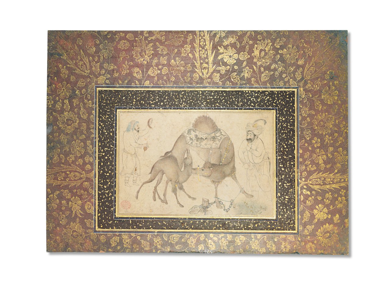 En kamel og kalven hennes, Safavid Iran, 1650-1700 av Iranian School