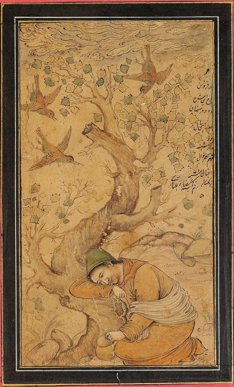 En fortvilet trollmann av Iranian School