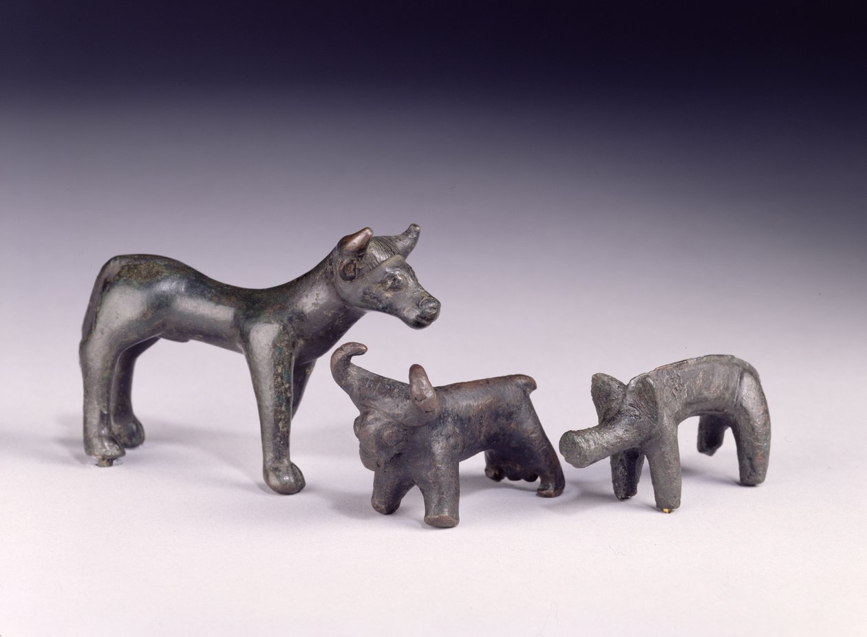 To okser, fra Ungarn og en villsvin, fra Gower Cave, Rhossilly, Sør-Wales, jernalder (bronse) av Iron Age