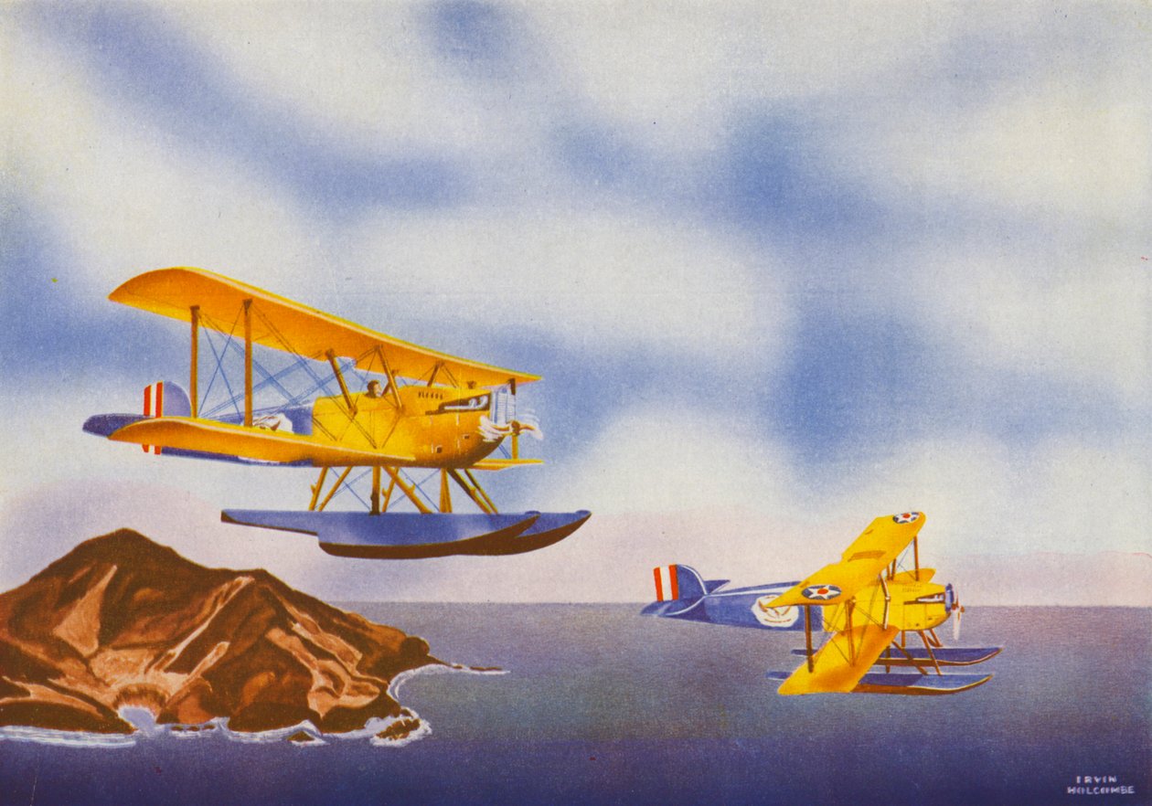  av Irvin L. Holcombe