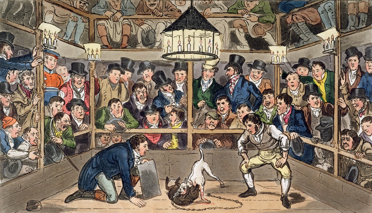 Tom og Jerry tuller på fenomenet Monkey, Jacco Macacco, ved Westminster Pit, fra "Life in London" av Pierce Egan av Isaac Robert & George (1792 1878) Cruikshank