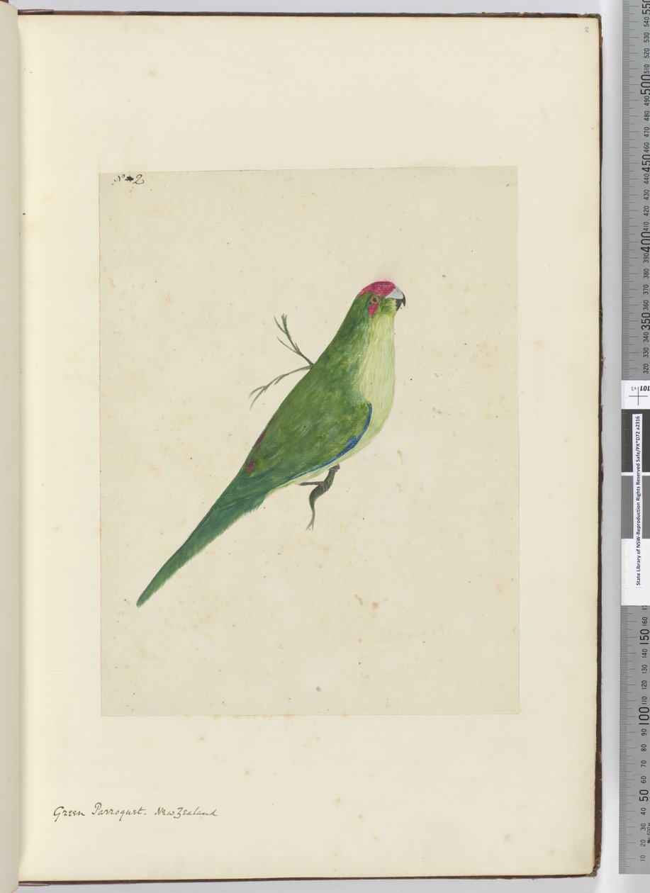 F.2 Grønn parkett. New Zealand, 1772–75 (wc) av Isaac Smith