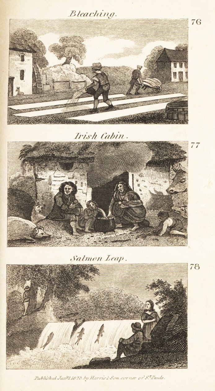 Handler i Regency Ireland: bleking, irsk hytte og laksesprang av Isaac Taylor
