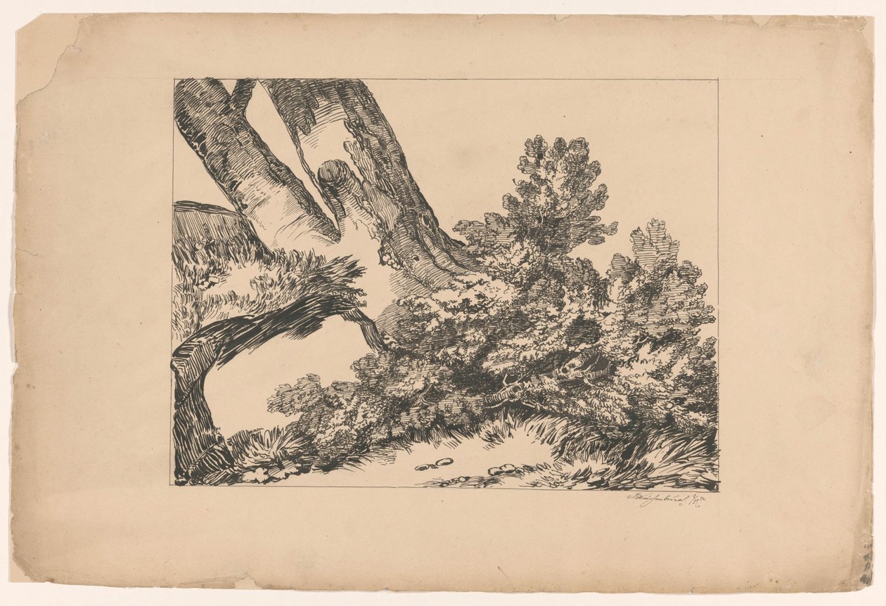 Vegetasjon under et tre av Isaac Weissenbruch