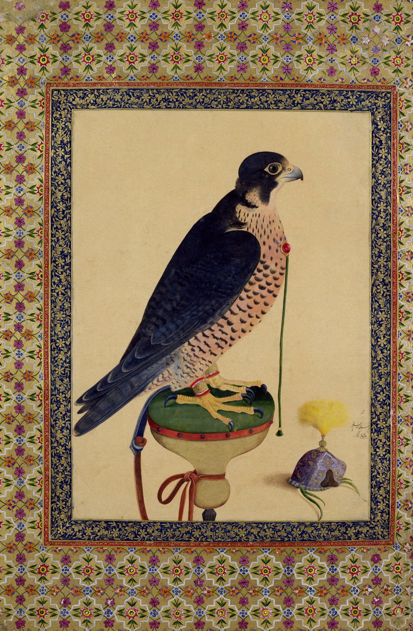 Ms E-14 Falcon, fra en Moraqqa av Islamic School