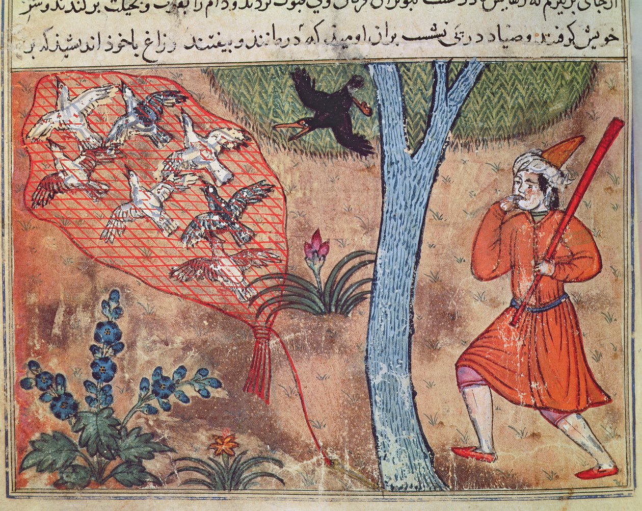 Hunting Birds, fra 