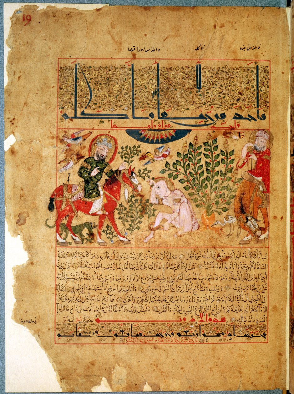 Ms. Arabe 2964 fol.19 Doktoren Anoromachus kurerer sin bror bitt av en slange, fra Treatise of Theriac etter Galien, 1217 av Islamic School