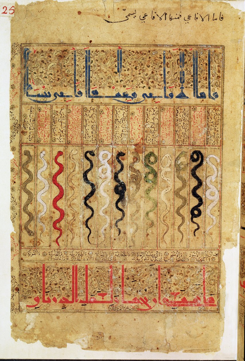 Treatise of Theriac etter Galien, 1217 av Islamic School