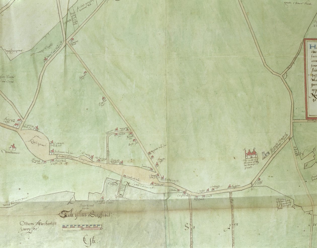 Ms.255171 Estate kart over Belchamp St. Paul, 1576 (penn og blekk og wc på papir) (detalj) av Israel Amyce
