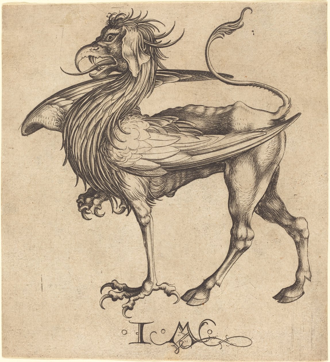 Griffinen av Israhel van Meckenem after Martin Schongauer