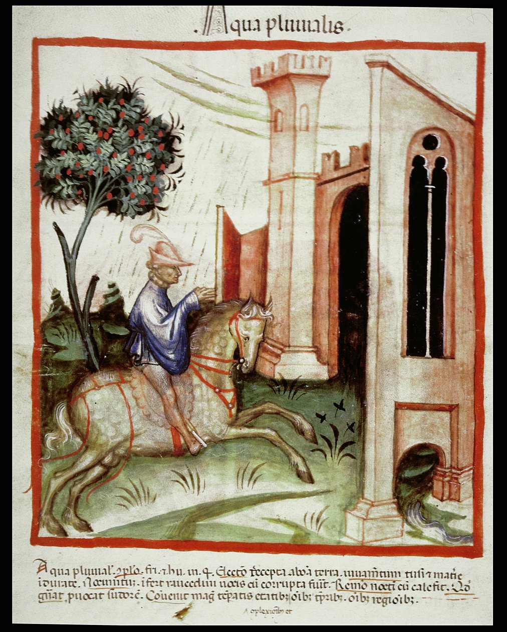 Nova 2644 fol.89v Regnvann, fra Tacuinum Sanitatis av Italian School