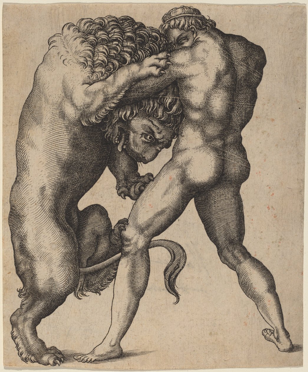 Hercules og Nemean Lion av Italian 16th Century