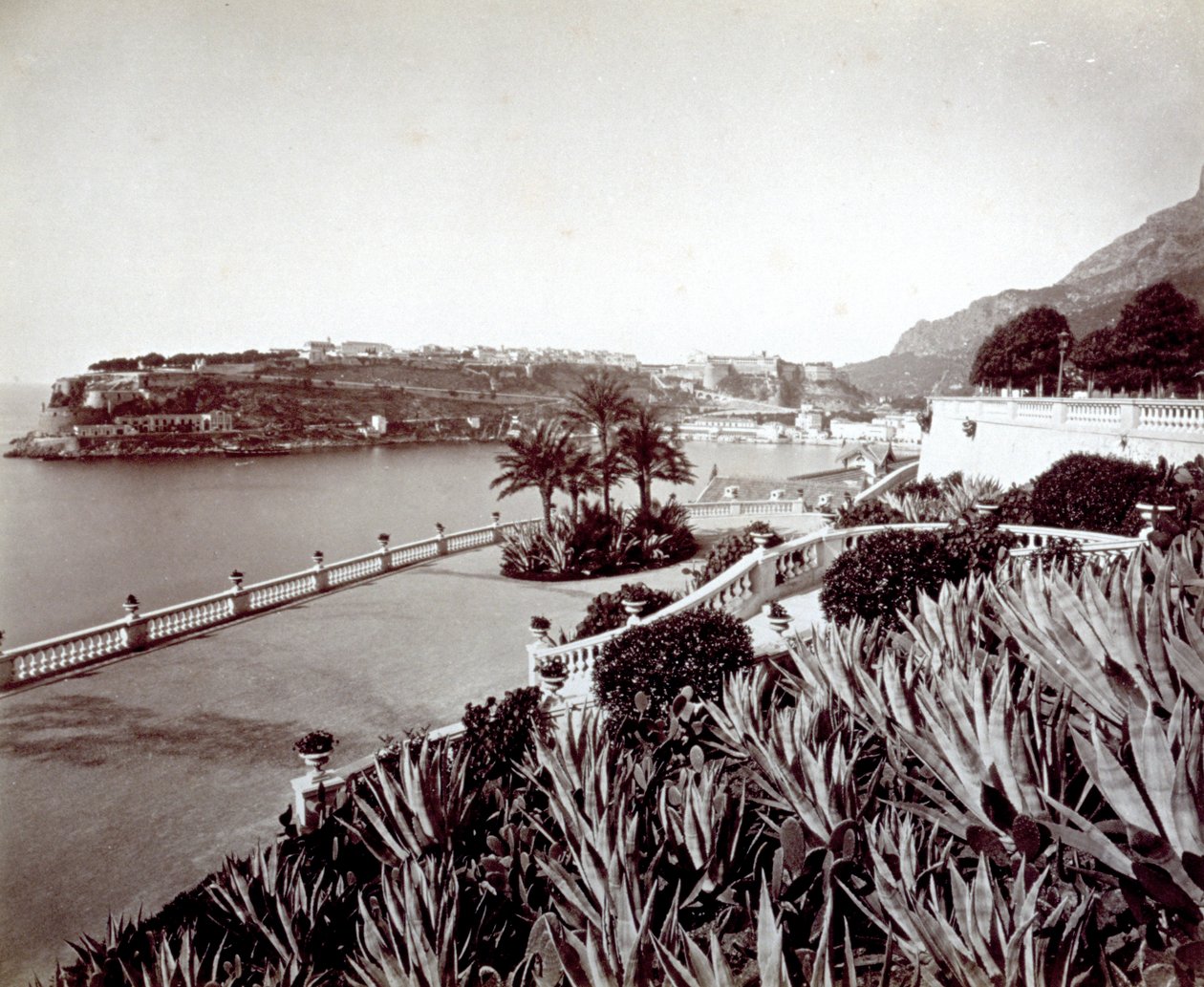 Panorama av Montecarlo. I forgrunnen tett vegetasjon av agaveplanter og kaktus av Italian Photographer