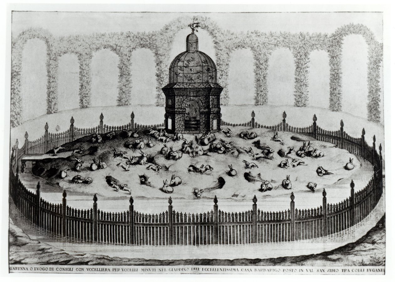 En kanin med en voliere for småfugler, fra Le Fabbriche e i Giardini dellEcc. Casa Barbariga, av D. Rossetti, gravert av G. Campana, utgitt 1702 av Italian School