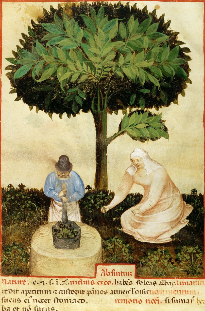 Absinthe, fra et manuskript om 