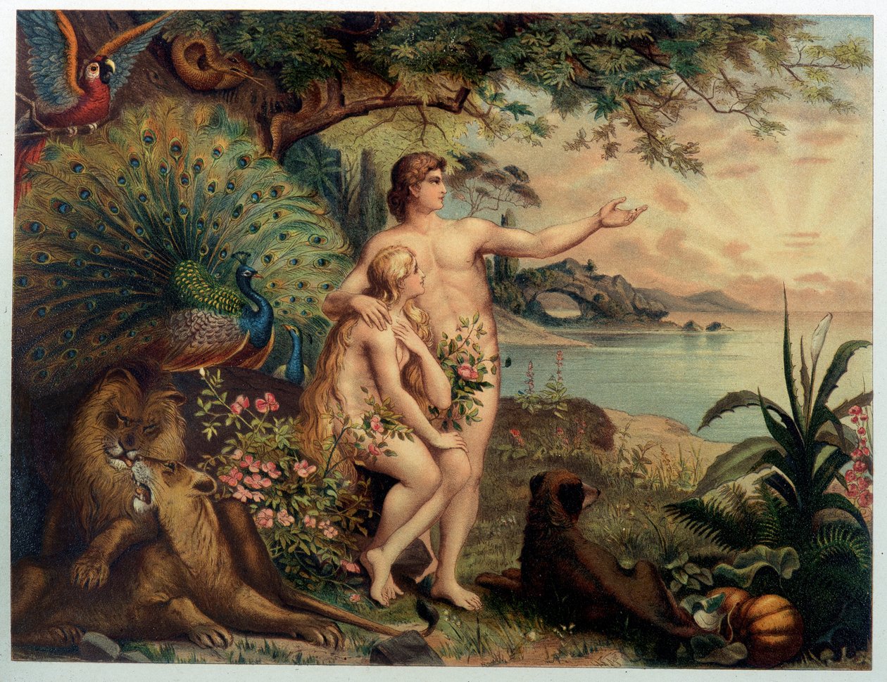 Adam og Eva au Paradise earthly (Eden) - i "" Gylden klassisk bibel: historie om guddommelig åpenbaring i den gamle og nye streben "" "av Giovanni Ladislao Sykora (vol. 1), oversatt av Don Clemente Benetti. (italiensk bibel) av Italian School