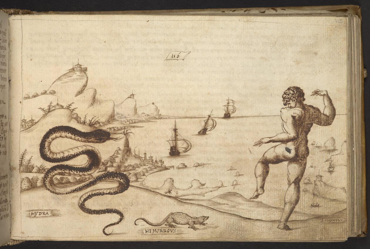 Legge til. 82955, f.115 Slange (