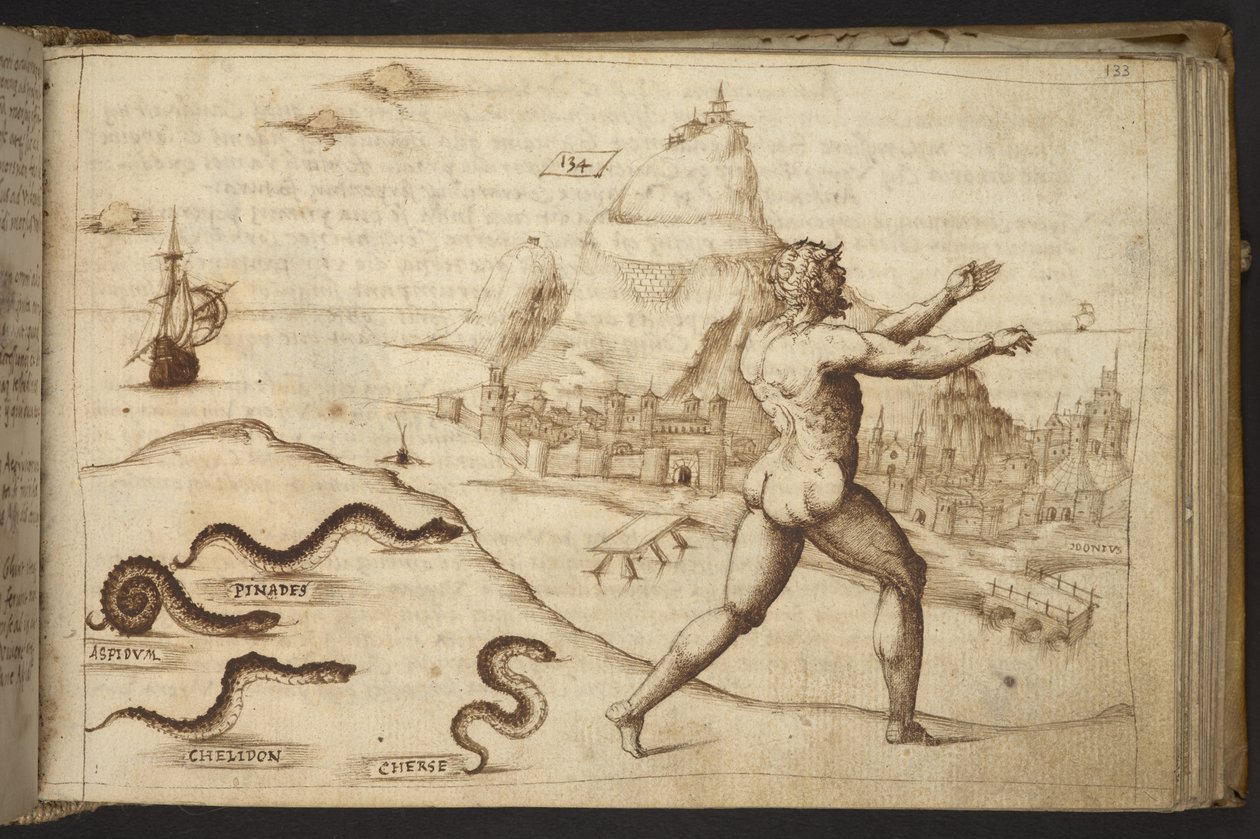 Legge til. 82955, f.133   Slanger som forfølger en menneskelig figur.  , fra Historia Animalium, (bestående av 245 penn-og-blekk-tegninger av forskjellige dyrearter og mytiske skapninger, hver ledsaget av en beskrivelse.)    1595 av Italian School