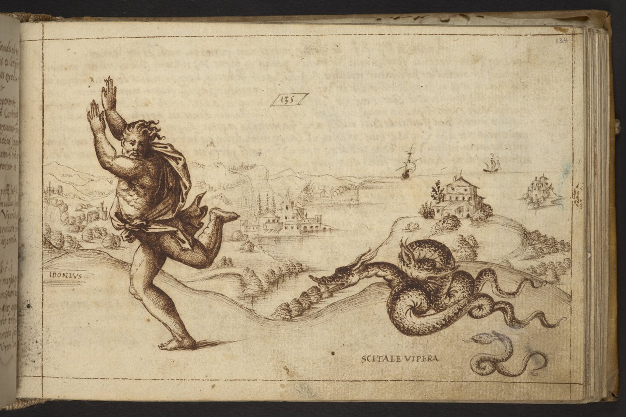 Legge til. 82955, f.134 Menneskeskikkelse forfulgt av slanger., fra Historia Animalium av Italian School