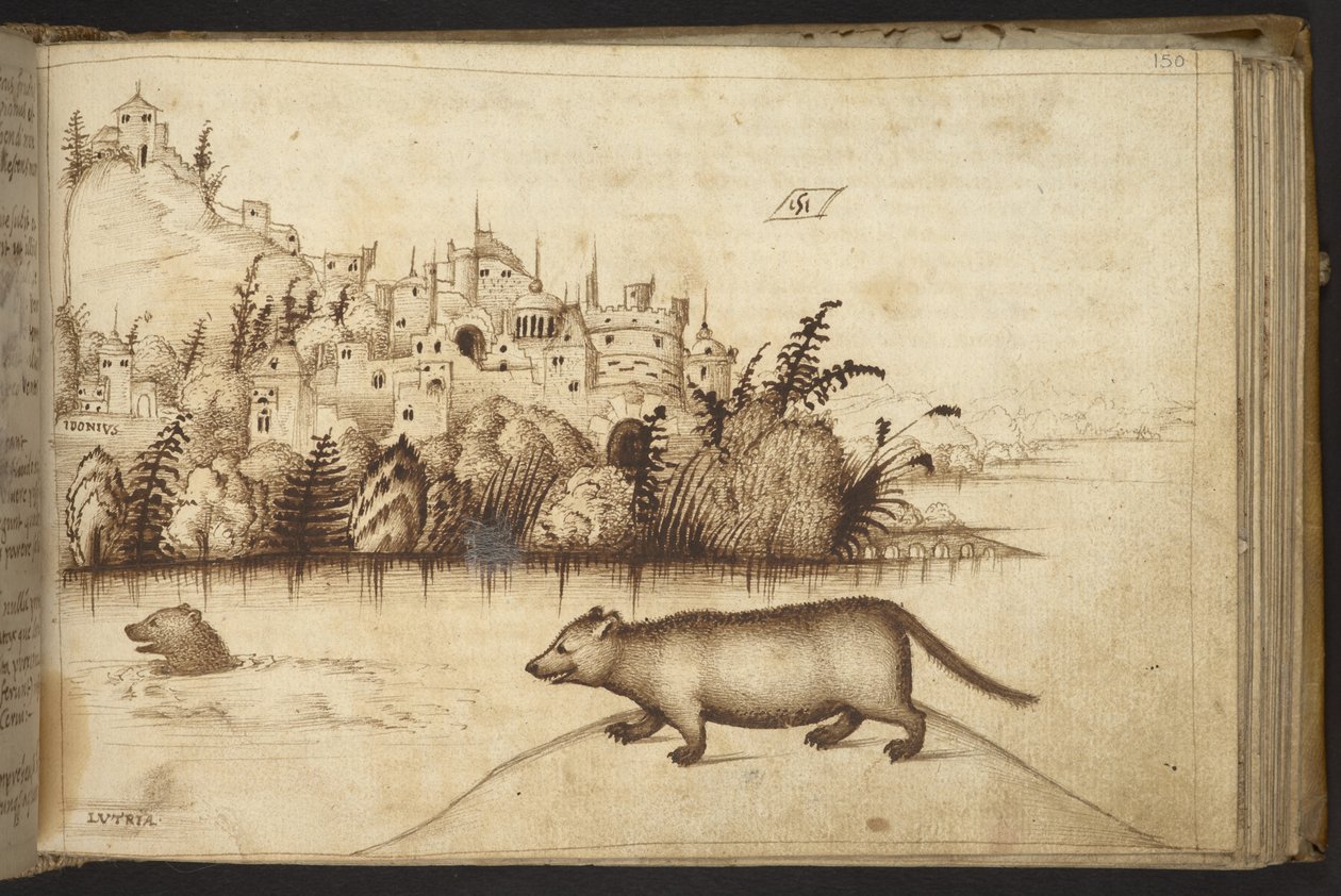 Legge til. 82955, f.150 Oter (