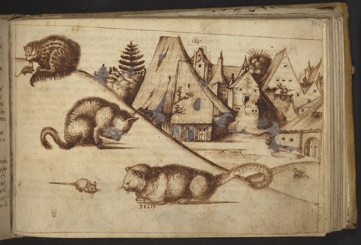 Legge til. 82955, f.182 Katter som fanger mus (